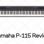 Yamaha P-115 Review - All You Need To Know About It!