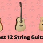10 Best 12 String Guitars To Buy In 2022 | In-Depth Reviews