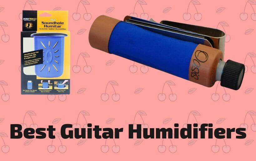 best guitar humidifiers