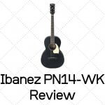 Ibanez PN14-WK Review